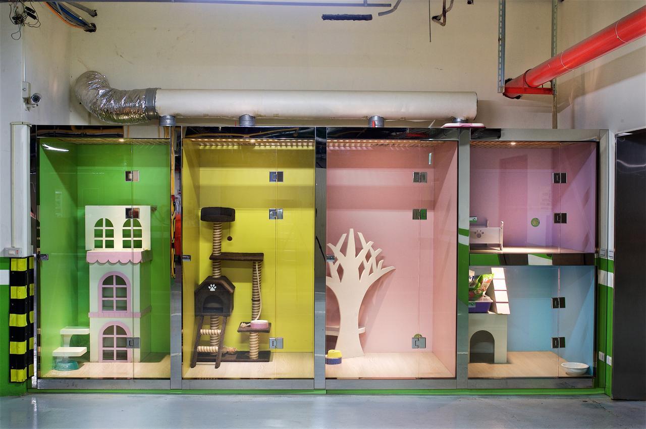 Chihpen Century Hotel Wenquan Exteriör bild The cat hotel